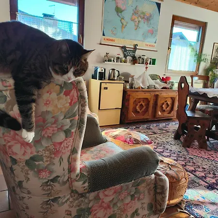 Gioz87 홈스테이 *