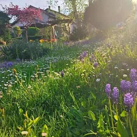 Gioz87 Quarto em Acomodações Particulares *