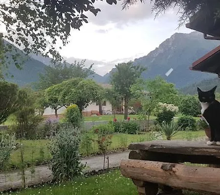 Accommodatie bij particulieren Gioz87 *