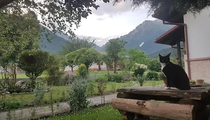 Homestay szállás Gioz87 *