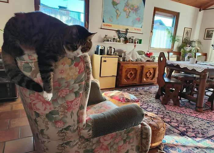 Gioz87 Homestay szállás *