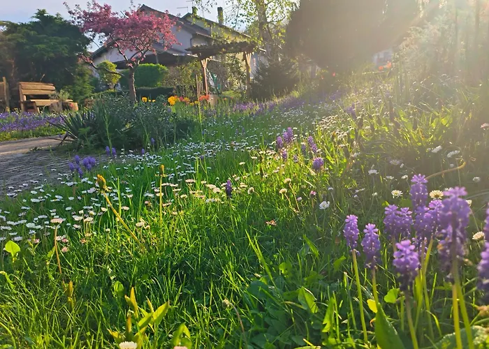 Gioz87 Homestay szállás *